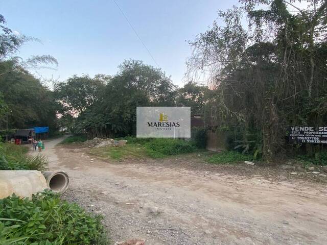 #TE00157 - Terreno para Venda em São Sebastião - SP - 2