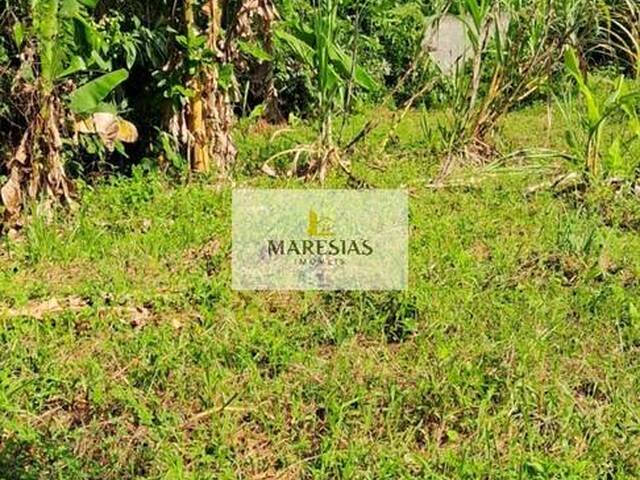 #TE00168 - Terreno para Venda em São Sebastião - SP - 2