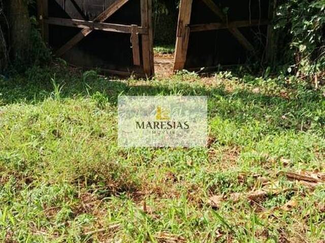 #TE00168 - Terreno para Venda em São Sebastião - SP - 3