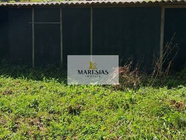 Terreno para Venda em São Sebastião - 4