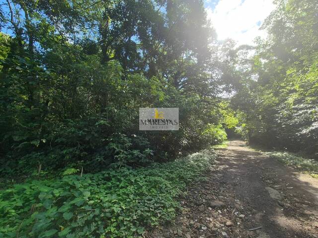 Terreno para Venda em São Sebastião - 3