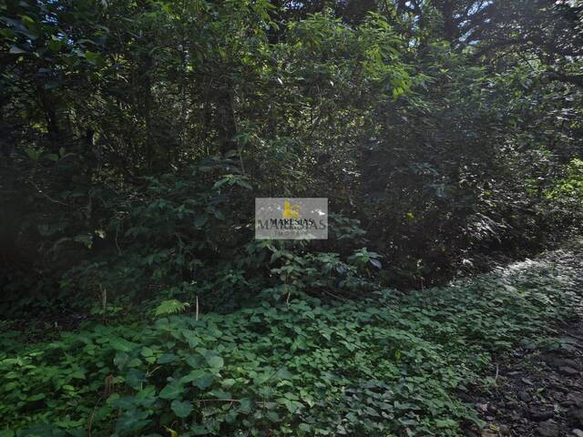 Terreno para Venda em São Sebastião - 4