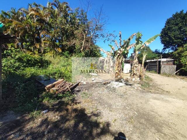 Terreno para Venda em São Sebastião - 5