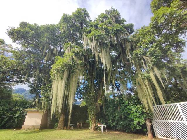 Sobrado para Venda em São Sebastião - 2