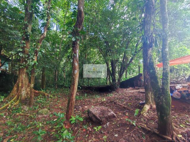 #TE00146 - Terreno para Venda em São Sebastião - SP - 3