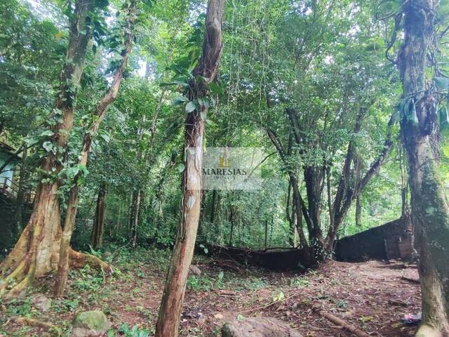 Terreno para Venda em São Sebastião - 4