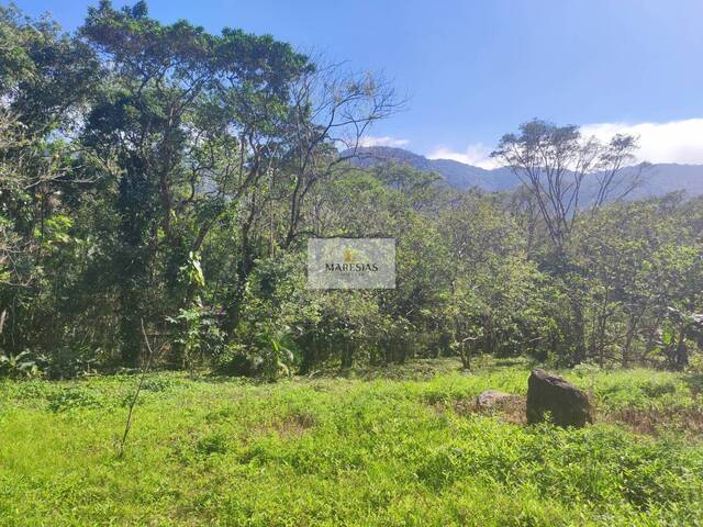 #TE00136 - Terreno para Venda em São Sebastião - SP - 2