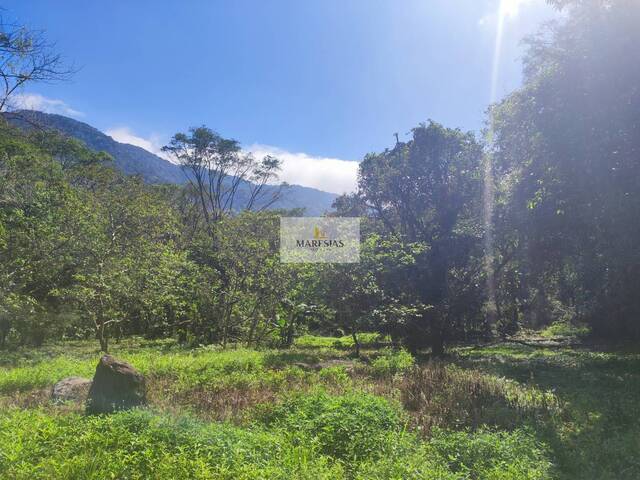 Terreno para Venda em São Sebastião - 4
