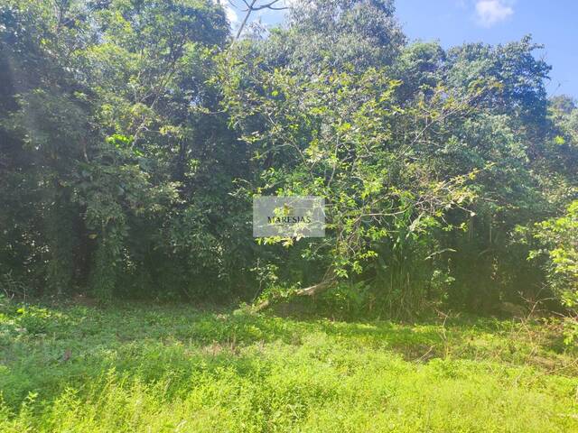 Terreno para Venda em São Sebastião - 5