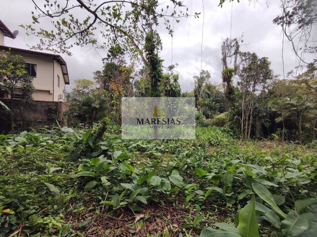 #TE00133 - Terreno para Venda em São Sebastião - SP - 3