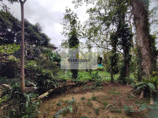 Terreno para Venda em São Sebastião - 4