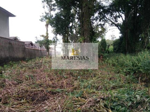 #TE00001 - Terreno para Venda em São Sebastião - SP - 2