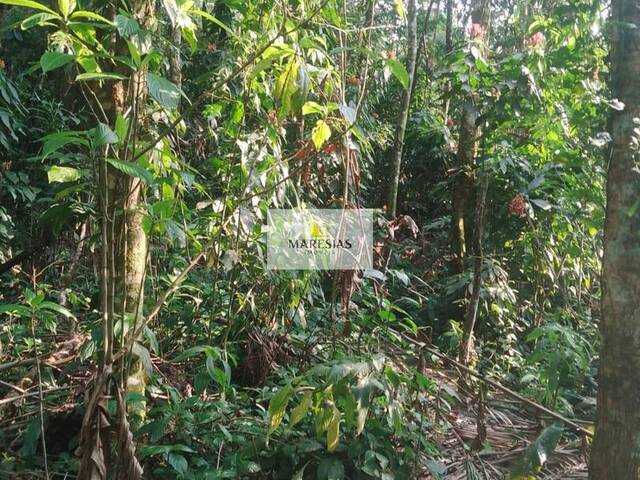 #TE00158 - Terreno para Venda em São Sebastião - SP - 3