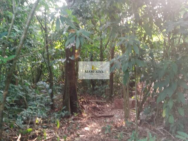 Terreno para Venda em São Sebastião - 4