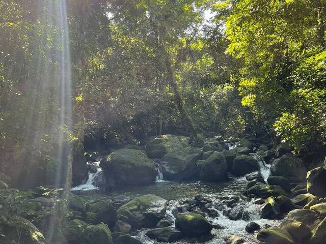 Sítio para Venda em São Sebastião - 3