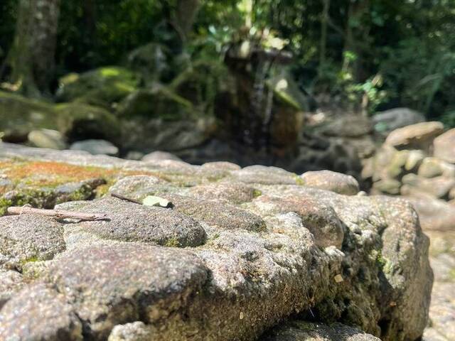 Sítio para Venda em São Sebastião - 4