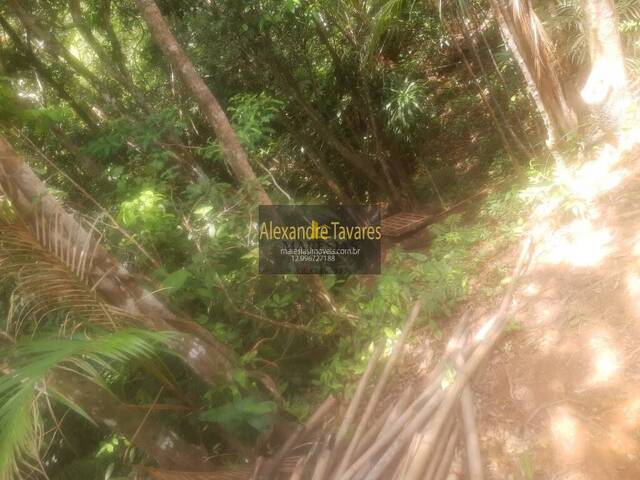 Terreno para Venda em São Sebastião - 4