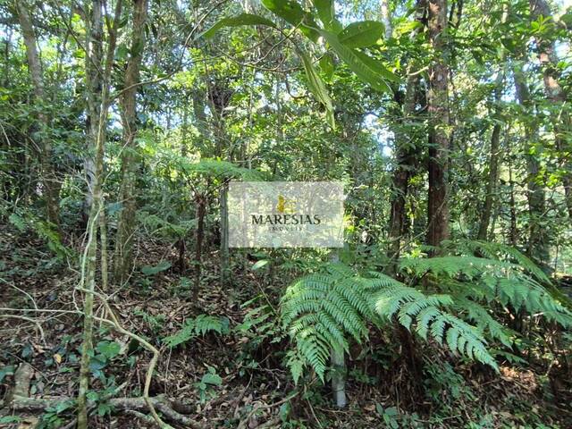 #TE00155 - Terreno para Venda em São Sebastião - SP - 2