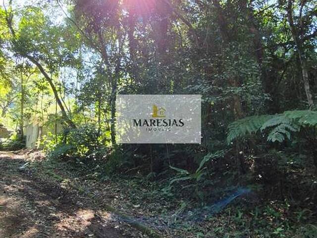 #TE00155 - Terreno para Venda em São Sebastião - SP - 3