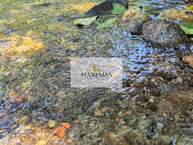 Terreno para Venda em São Sebastião - 4