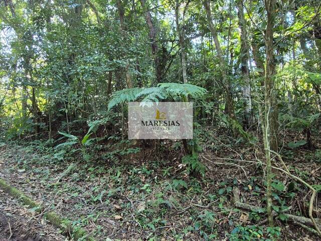 Terreno para Venda em São Sebastião - 5