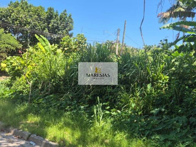 #TE00164 - Terreno para Venda em São Sebastião - SP - 3