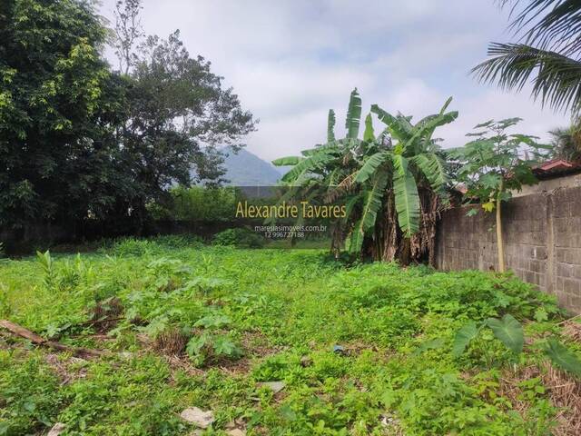 #TE00041 - Terreno para Venda em São Sebastião - SP - 2