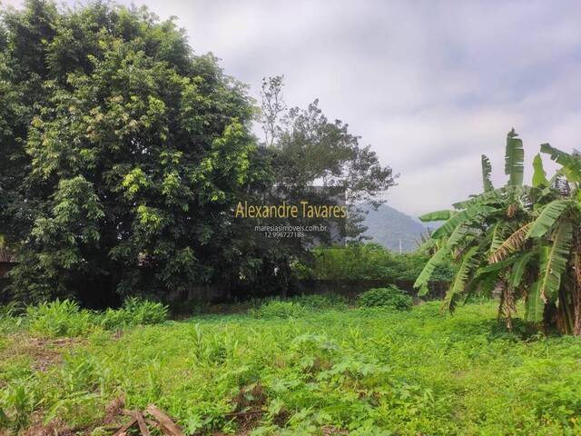 #TE00041 - Terreno para Venda em São Sebastião - SP - 3