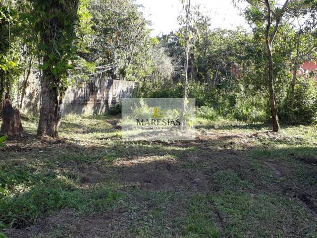 #TE00060 - Terreno para Venda em São Sebastião - SP - 2