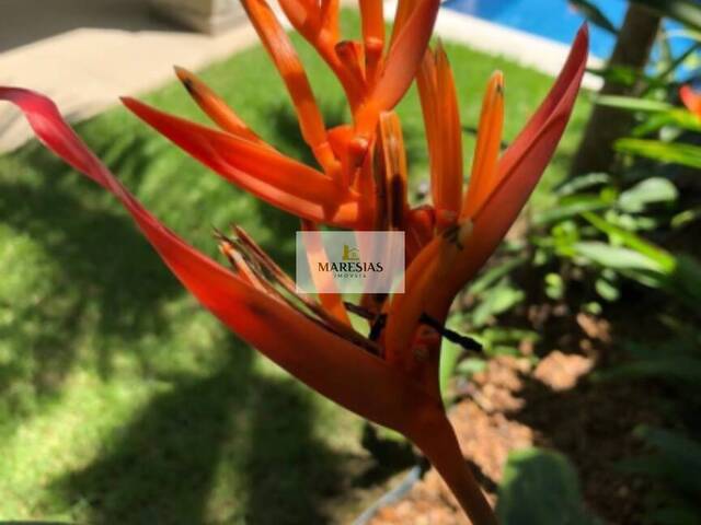 #CA01044 - Casa para Venda em São Sebastião - SP - 3