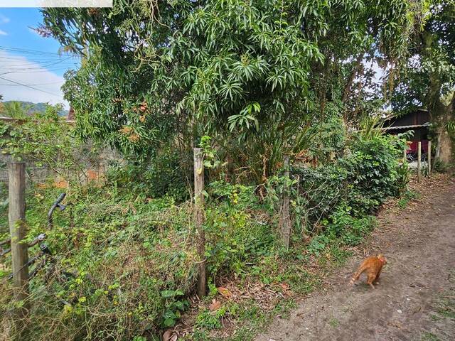 #TE00174 - Terreno para Venda em São Sebastião - SP - 2