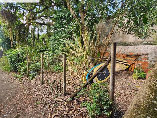 Terreno para Venda em São Sebastião - 4