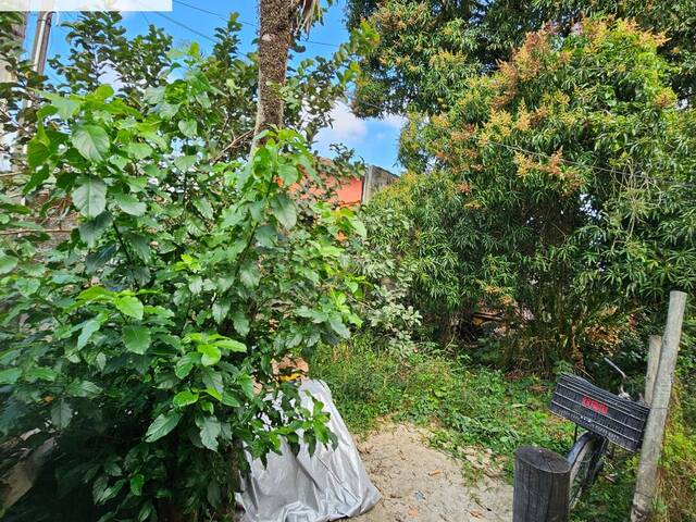 Terreno para Venda em São Sebastião - 5