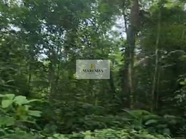 #TE00142 - Terreno para Venda em São Sebastião - SP - 3