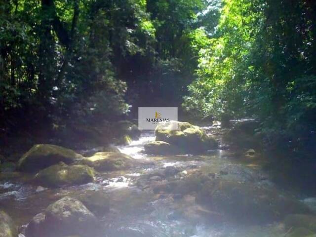 Terreno para Venda em São Sebastião - 5