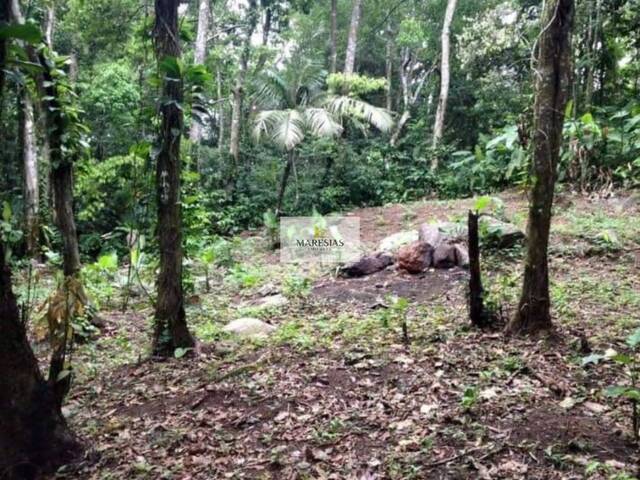 #TE00161 - Terreno para Venda em São Sebastião - SP - 3