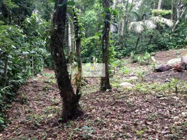 Terreno para Venda em São Sebastião - 4