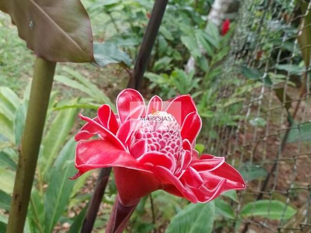 Sobrado para Venda em São Sebastião - 2