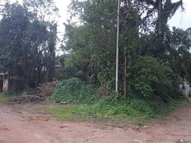 #TE00059 - Terreno para Venda em São Sebastião - SP - 2
